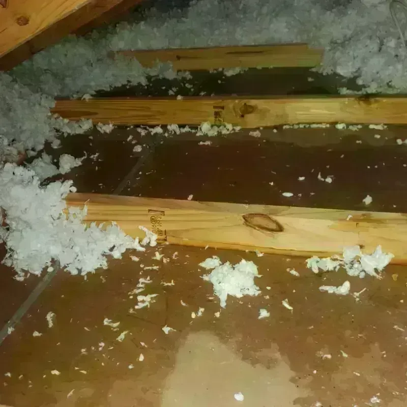 Attic Water Damage in Milledgeville, GA