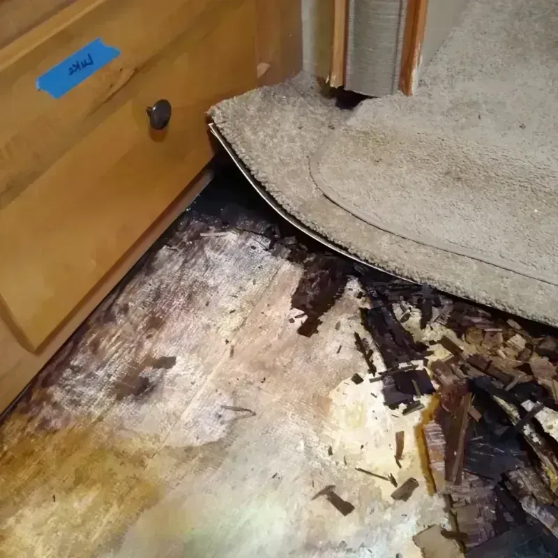 Wood Floor Water Damage in Milledgeville, GA